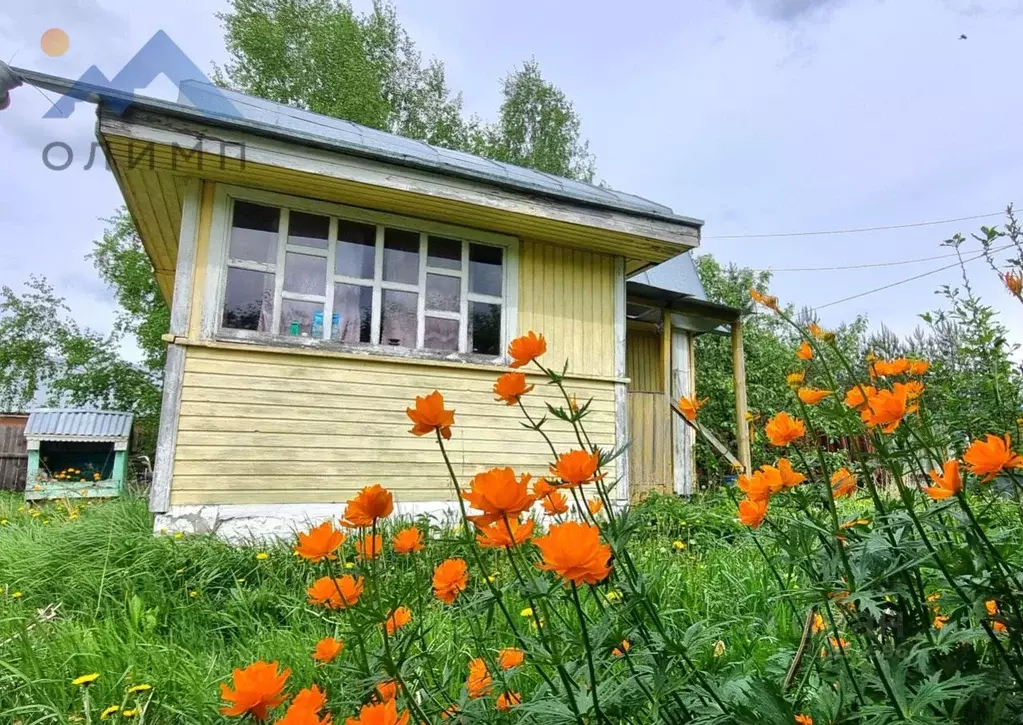 Дом в Вологодская область, Колос садоводческое товарищество  (36 м) - Фото 0