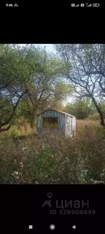 Участок в Брянская область, Унечский район, Высокское с/пос  (9.5 ... - Фото 1