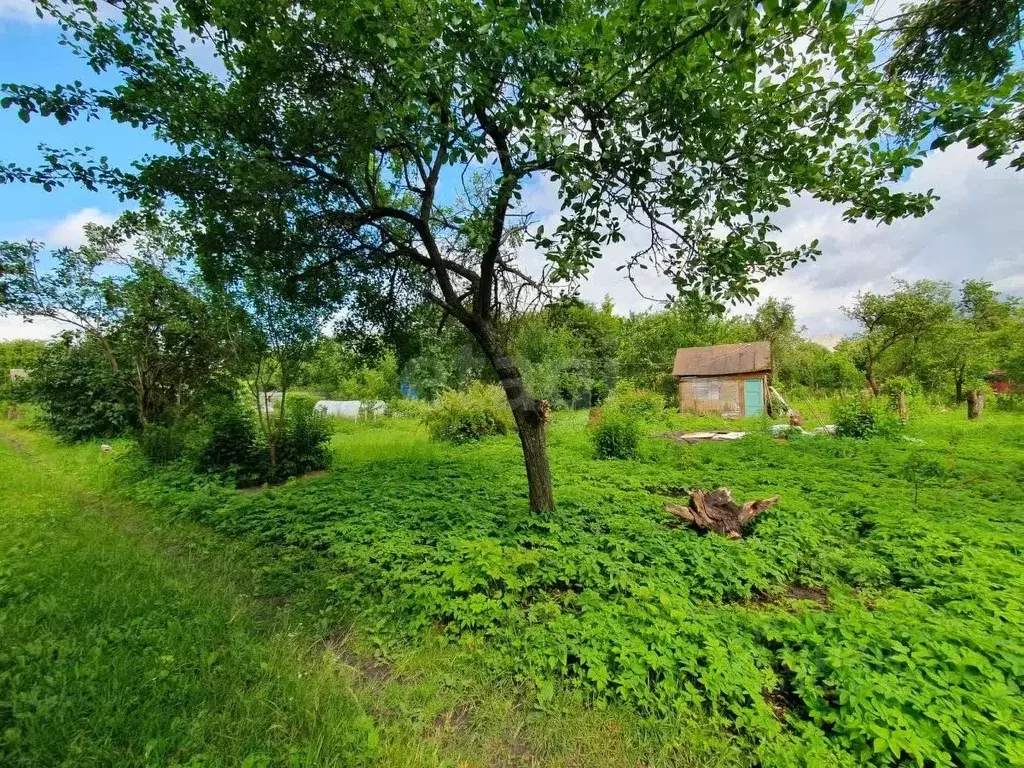 Участок в Брянская область, Брянск Коммунальник садовое общество,  ... - Фото 0