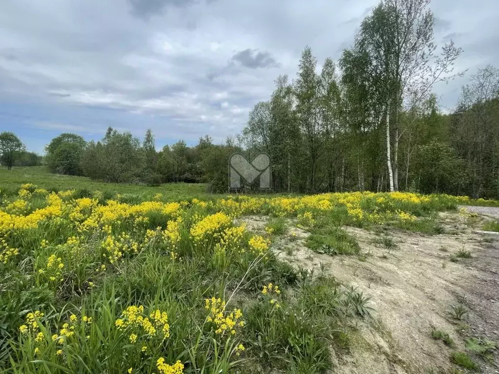 Участок в Ленинградская область, Всеволожский район, Лесколовское ... - Фото 1