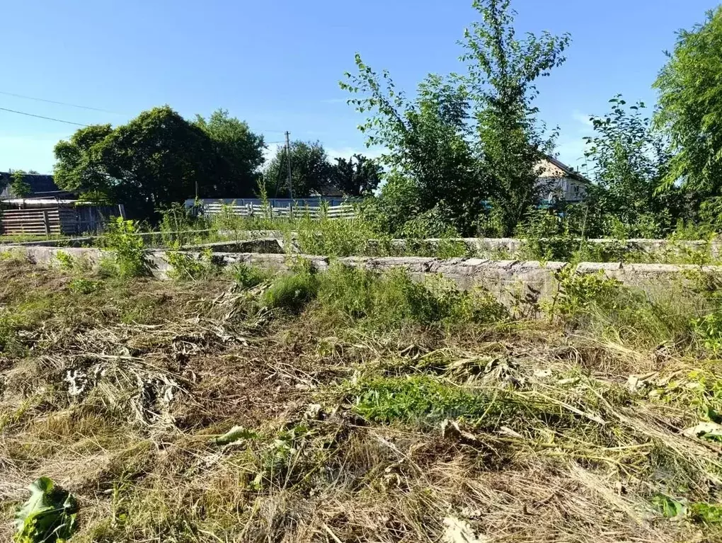 Участок в Еврейская автономная область, Биробиджан пос. ... - Фото 2