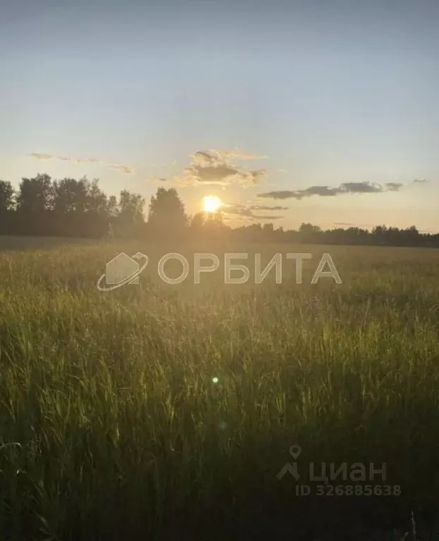Участок в Тюменская область, Нижнетавдинский муниципальный округ, ... - Фото 1