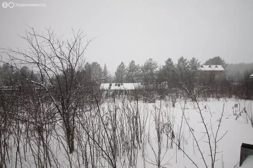 Участок в Свердловская область, Белоярский муниципальный округ, ... - Фото 2