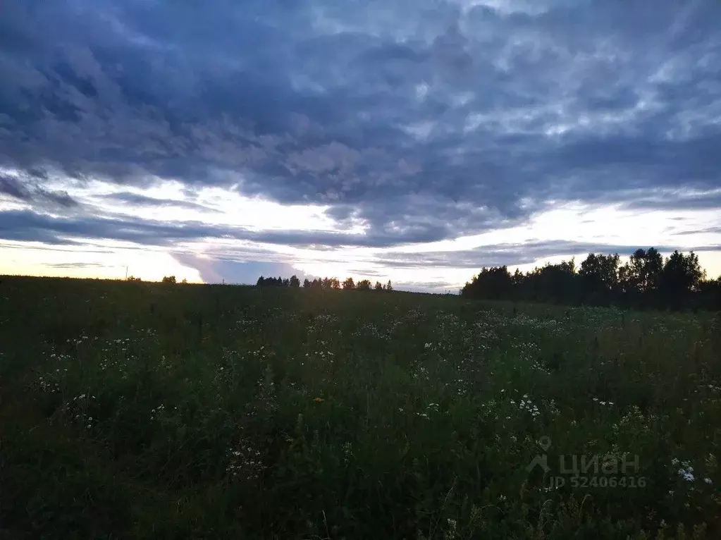 Участок в Владимирская область, Александровский район, д. ... - Фото 1