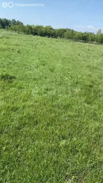 Участок в Искитимский район, деревня Бурмистрово (10 м) - Фото 2