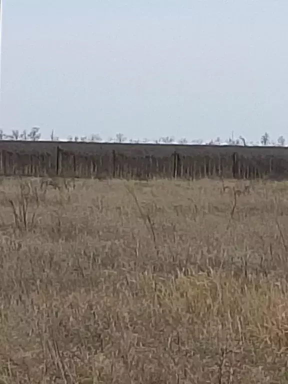 Участок в Краснодарский край, Анапа муниципальный округ, пос. Уташ ул. ... - Фото 1