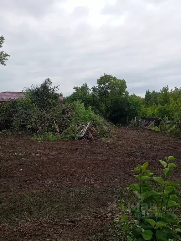 Участок в Самарская область, Самара Орлов Овраг массив, ул. 1-я (5.9 ... - Фото 1