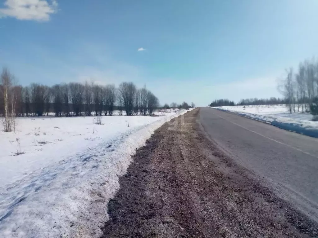 Участок в Нижегородская область, Дальнеконстантиновский муниципальный ... - Фото 1