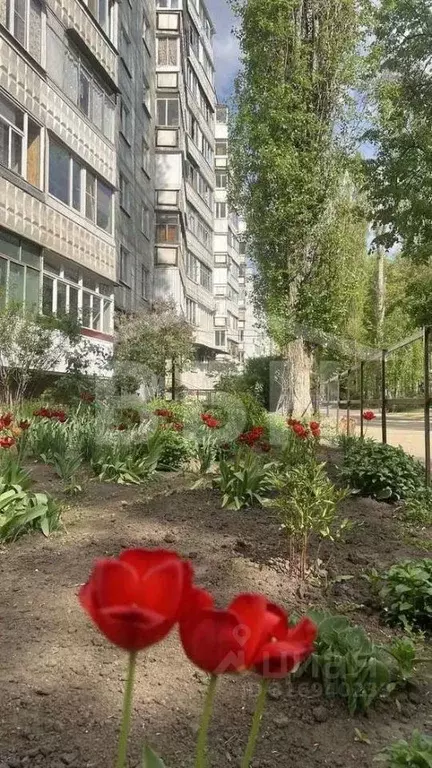 3-к кв. Воронежская область, Воронеж ул. Генерала Лизюкова, 27 (62.2 ... - Фото 1