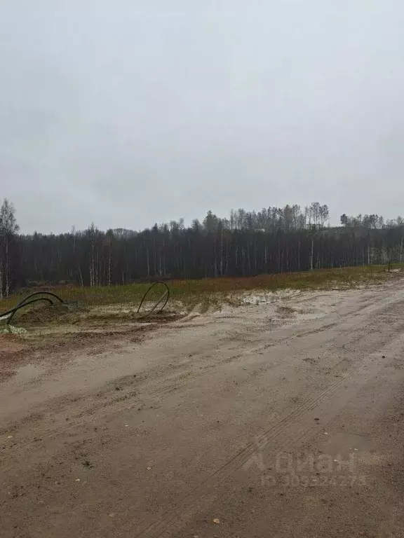 Участок в Ленинградская область, Всеволожский район, Колтушское ... - Фото 1