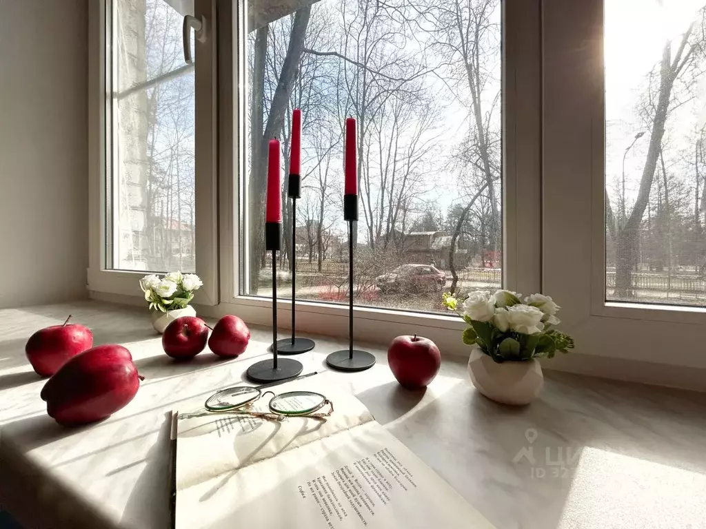 1-к кв. Санкт-Петербург просп. Энгельса, 94К2 (30.6 м) - Фото 1