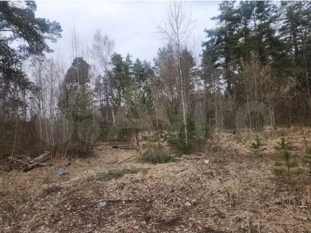 Участок 8,6 сот. (ИЖС) - Фото 0