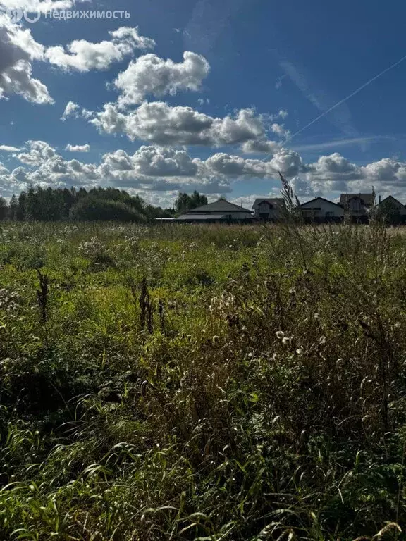 участок в белоярский городской округ, посёлок рассоха, улица тургенева . - Фото 0