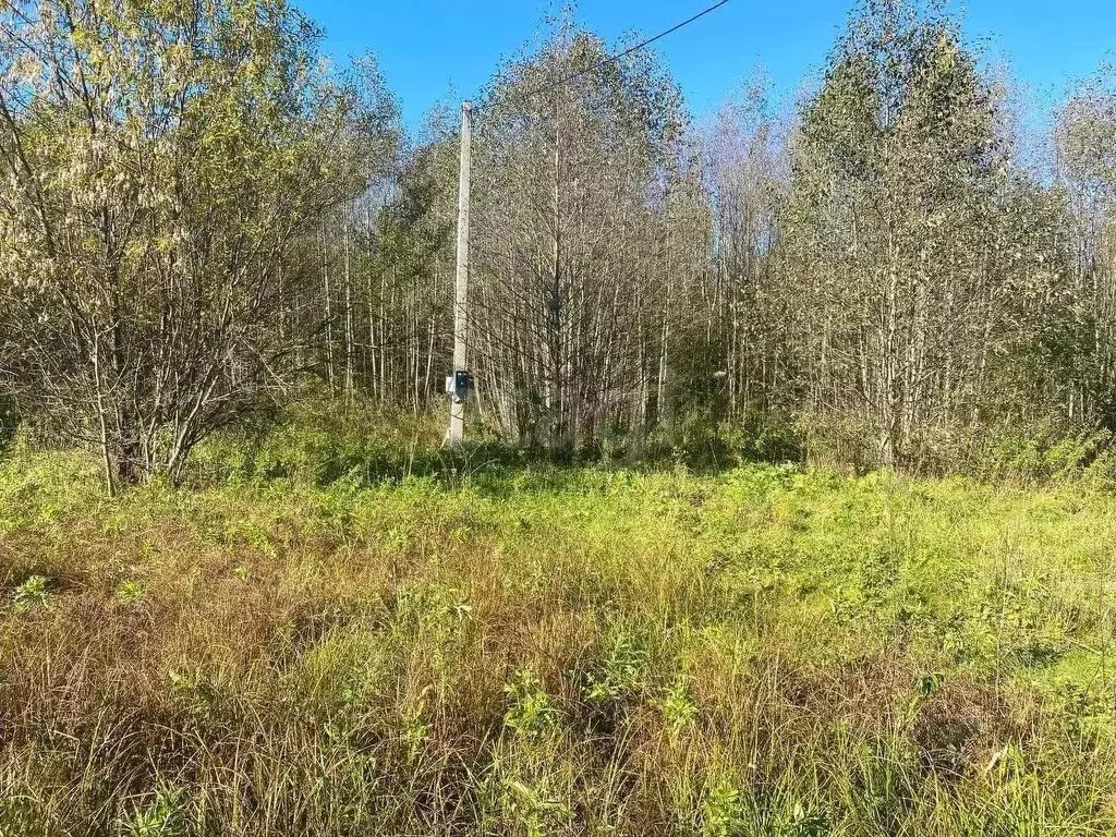 Участок в Кировская область, Кирово-Чепецкий район, Федяковское с/пос, ... - Фото 2