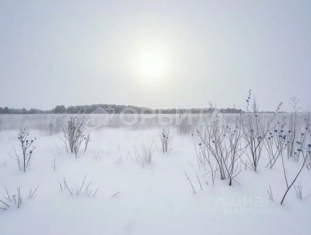 Участок в Тюменская область, Тюменский муниципальный округ, с. ... - Фото 2