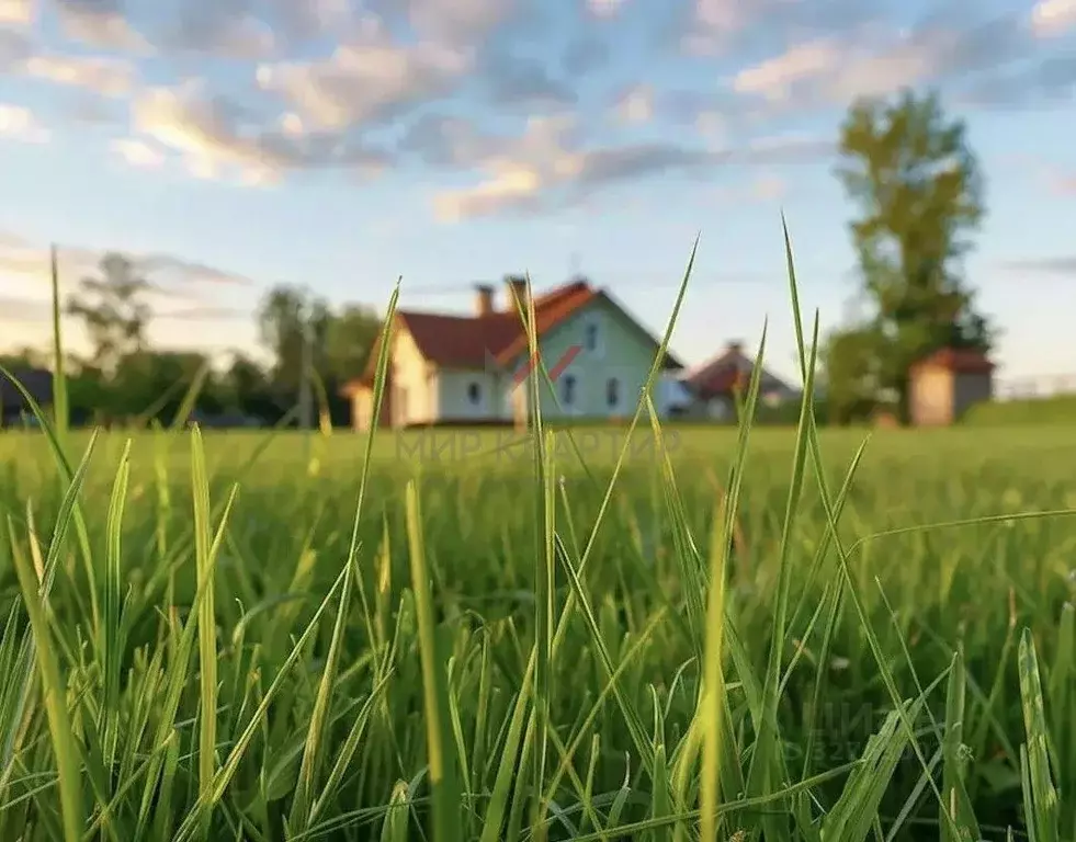 Участок в Хакасия, Алтайский район, с. Белый Яр ул. Целинная (11.0 ... - Фото 1
