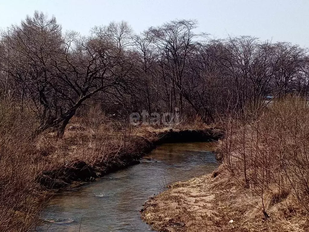 Участок в Приморский край, Надеждинский район, с. Вольно-Надеждинское  ... - Фото 0