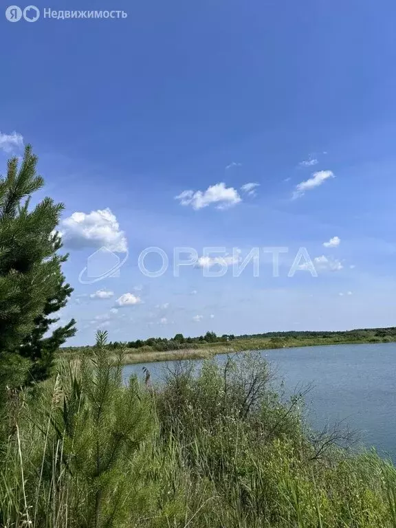 Участок в Тюменская область, Нижнетавдинский муниципальный округ, ... - Фото 1