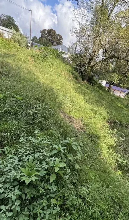 Участок в Краснодарский край, Сочи городской округ, с. Каштаны ул. ... - Фото 2