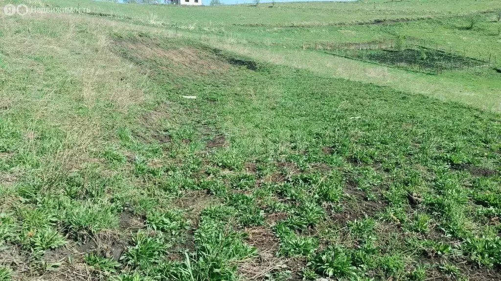 Участок в Майминский район, село Кызыл-Озек (7.61 м) - Фото 1