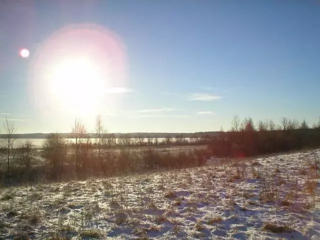 Участок в Тверская область, Осташковский городской округ, д. Радухово  ... - Фото 1