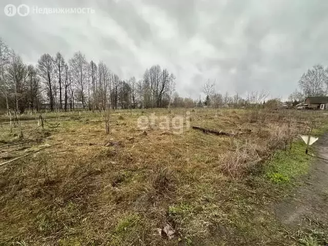 Участок в Пермский муниципальный округ, деревня Шульгино (8 м) - Фото 1