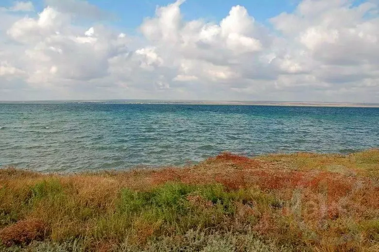Участок в Крым, Черноморский район, Медведевское с/пос, с. Медведево ... - Фото 0