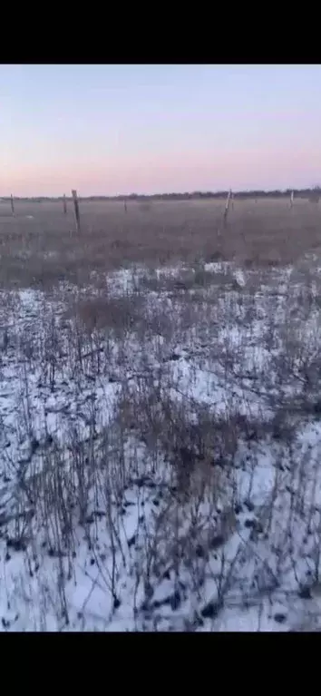 Участок в Астраханская область, с. Красный Яр  (6.0 сот.) - Фото 1