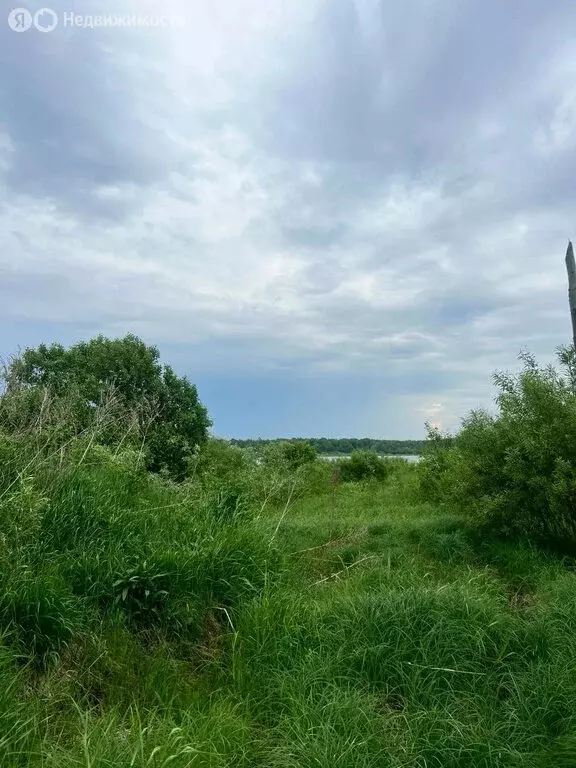 Участок в Вологодская область, село Устье (20 м) - Фото 1