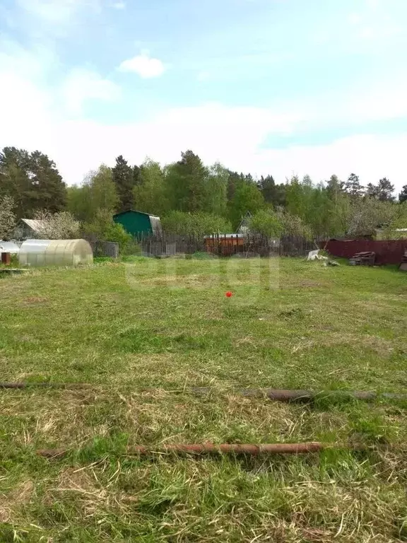 Участок в Владимирская область, Ковров № 1 УКХ СНТ, 108 (5.47 сот.) - Фото 1