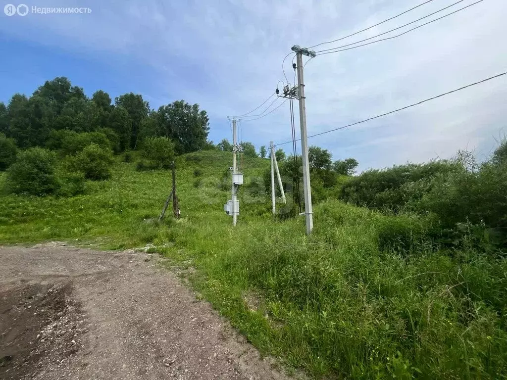 Участок в Майминский район, село Кызыл-Озек (11.2 м) - Фото 1