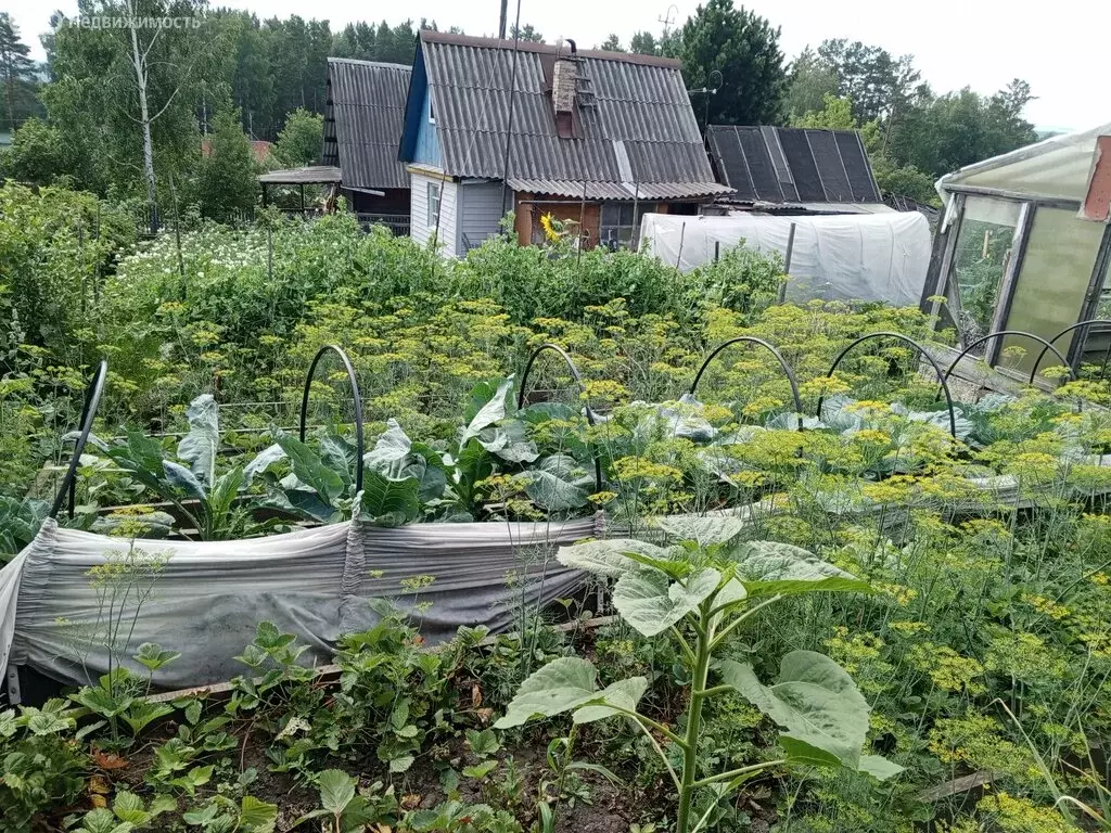Участок в Зеленогорск, садоводство № 2, 67-я улица (4 м) - Фото 0