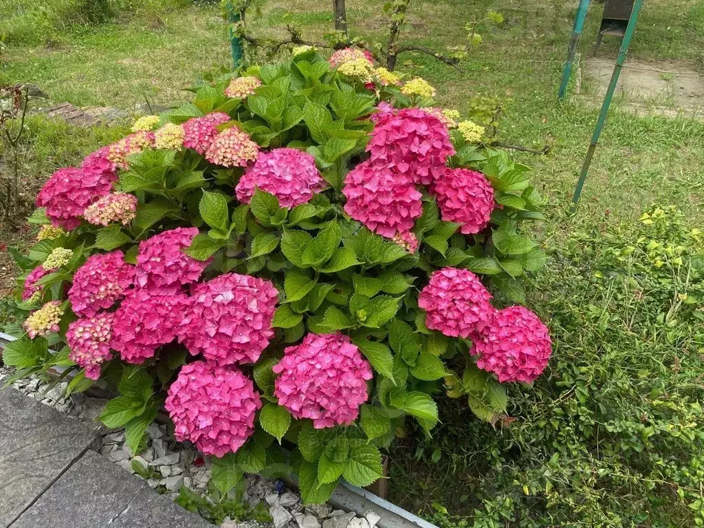 Участок в Краснодарский край, Сочи городской округ, с. Верхний Юрт, ... - Фото 0
