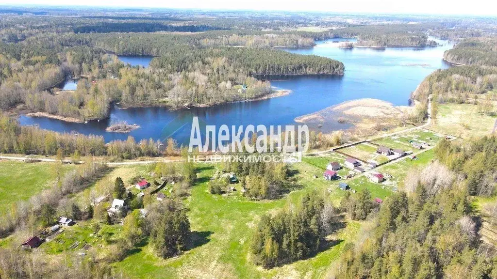 Участок, 8.9 сот., поселения (ижс) - Фото 0