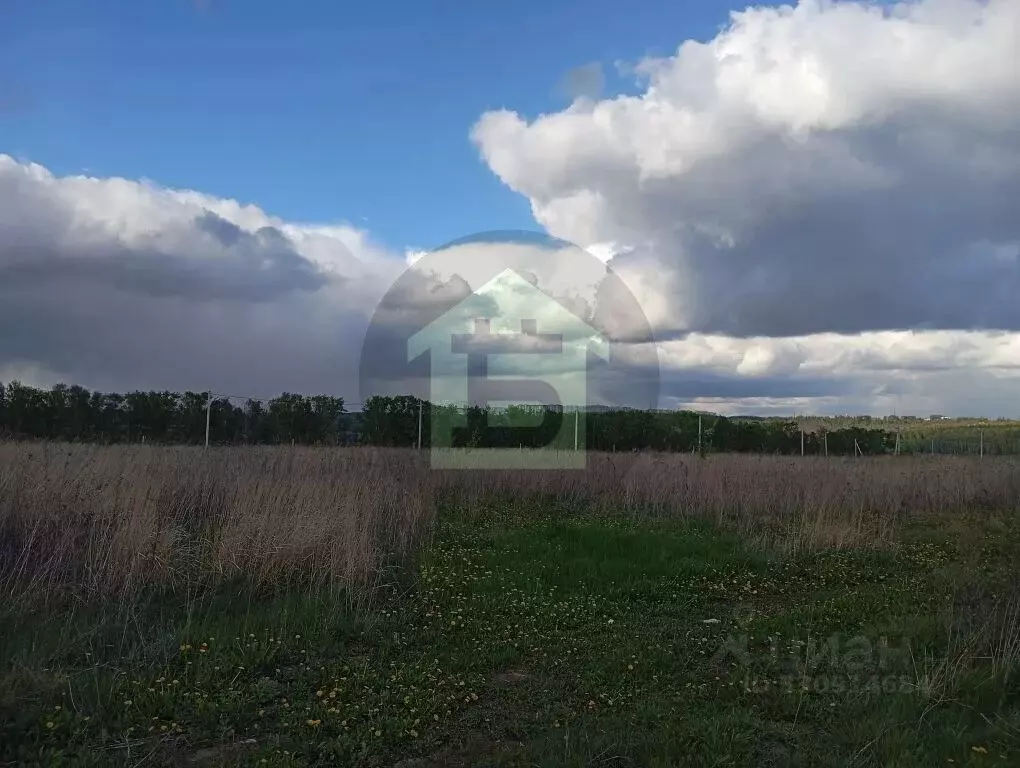 Участок в Курская область, Курск ул. Романа Каменева, 42 (10.0 сот.) - Фото 2