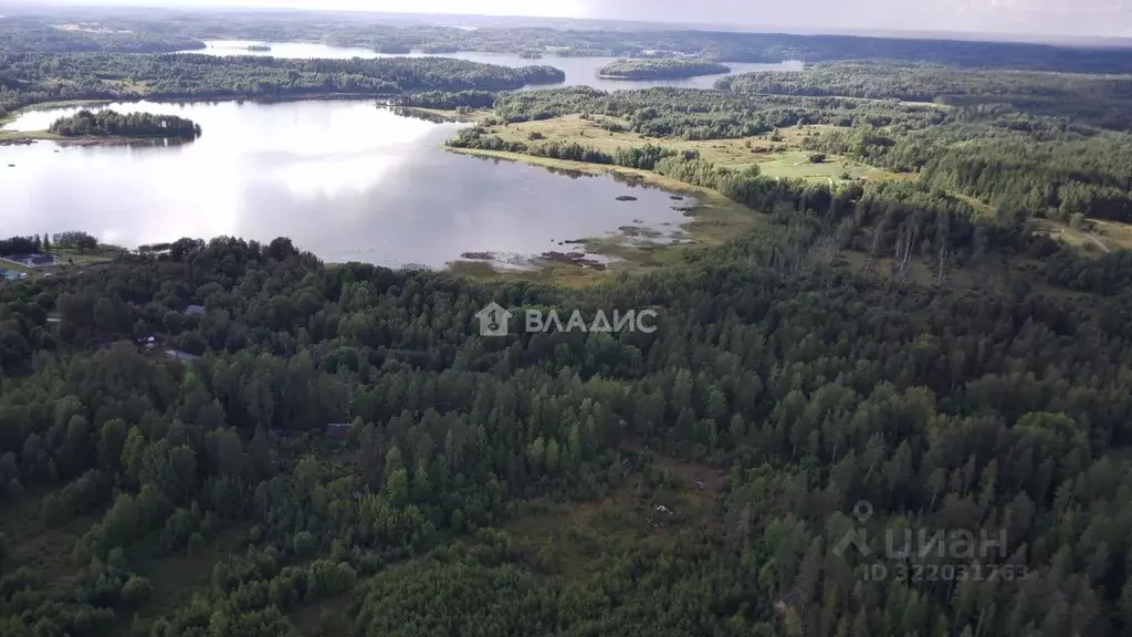 Участок в Карелия, Лахденпохский муниципальный округ, пос. Райвио ул. ... - Фото 1