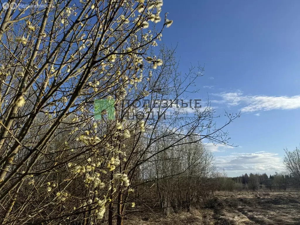 Участок в Орловский муниципальный округ, деревня Хардиково (19 м) - Фото 1