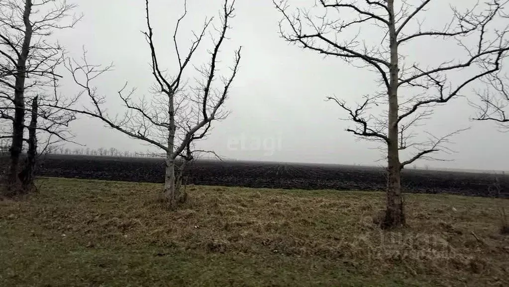 Участок в Крым, Симферопольский район, с. Журавлевка  (1153.45 сот.) - Фото 2