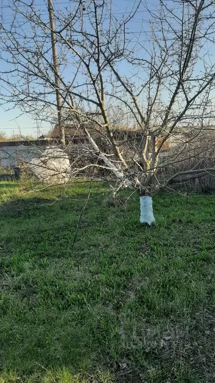 Участок в Самарская область, Самара Песчаная Глинка СНТ,  (6.63 сот.) - Фото 2