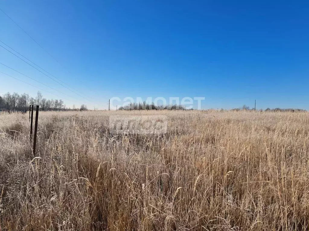 Участок в Владимирская область, Александровский район, Каринское ... - Фото 0