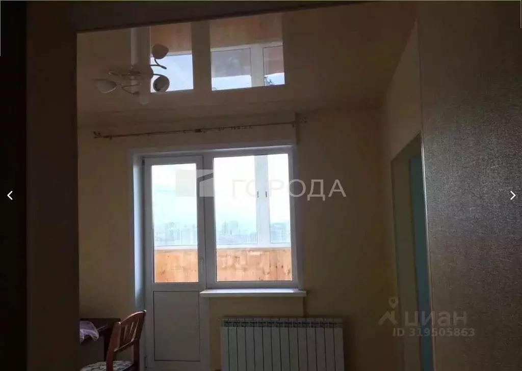 1-к кв. Новосибирская область, Новосибирск ул. Фрунзе, 49 (30.0 м) - Фото 1