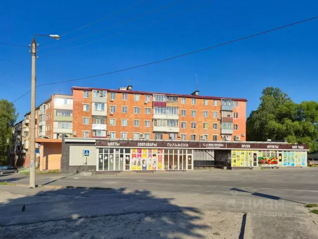3-к кв. Брянская область, Дятьково 12-й мкр, 1 (62.4 м) - Фото 1