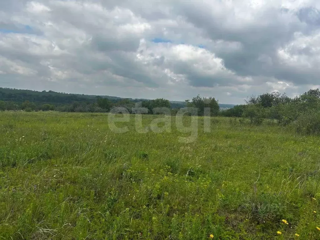 Участок в Белгородская область, Белгородский район, Бессоновское ... - Фото 1