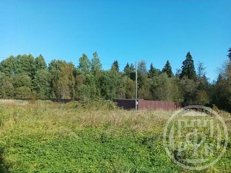 Участок в Ленинградская область, Выборгский район, Красносельское ... - Фото 1