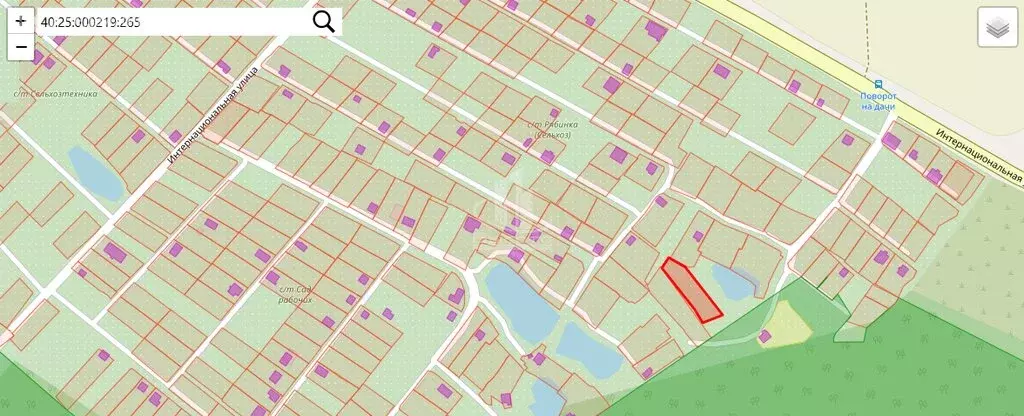 Участок в Калуга, садоводческое некоммерческое товарищество Рябинка (8 ... - Фото 1