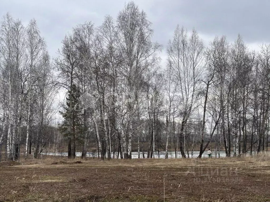 Участок в Тюменская область, Тюменский район, д. Малиновка ул. ... - Фото 1