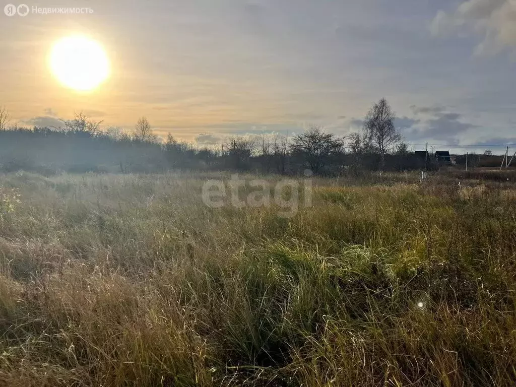 Участок в Калининградская область, Зеленоградский муниципальный округ, ... - Фото 1