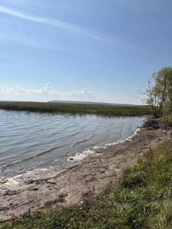 Участок в Татарстан, Рыбно-Слободский район, Русско-Ошнякское с/пос, ... - Фото 0