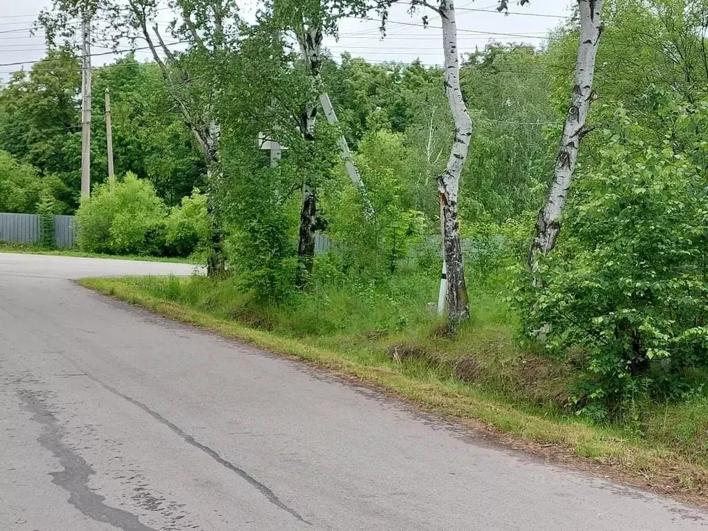 Участок в Хабаровский край, Хабаровский район, Мичуринское с/пос, с. ... - Фото 2
