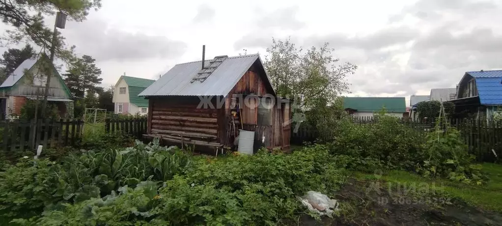 Дом в Новосибирская область, Новосибирский район, Толмачевский ... - Фото 1